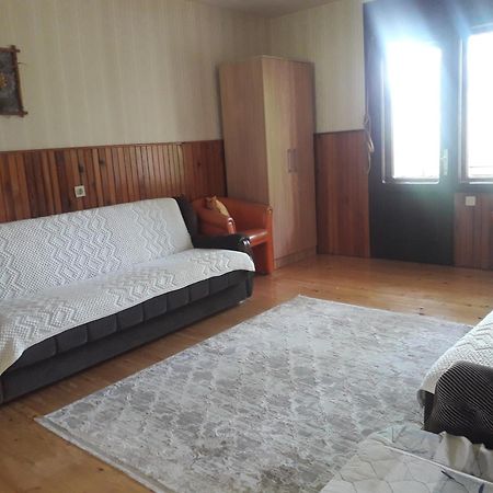 Vila Trtovic Nova Varoš Εξωτερικό φωτογραφία